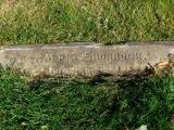 image of grave number 172295